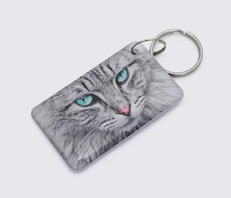 Заготовка ключа для домофона RFID 5577, "Кот №3", перезаписываемая