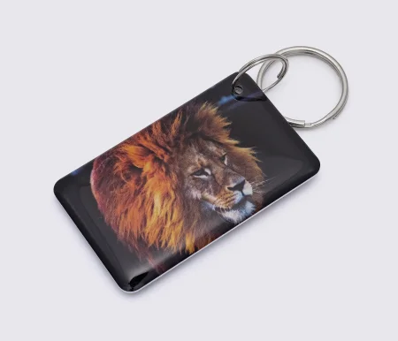 Заготовка ключа для домофона RFID 5577, "Лев №1", перезаписываемая