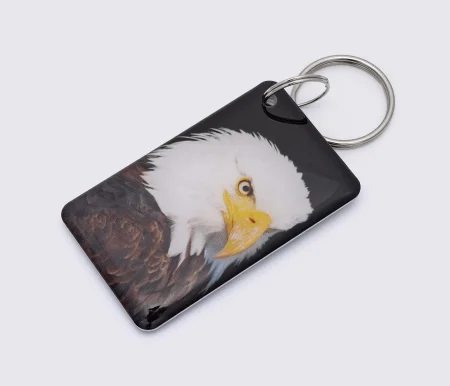 Заготовка ключа для домофона RFID 5577, "Орел №1", перезаписываемая