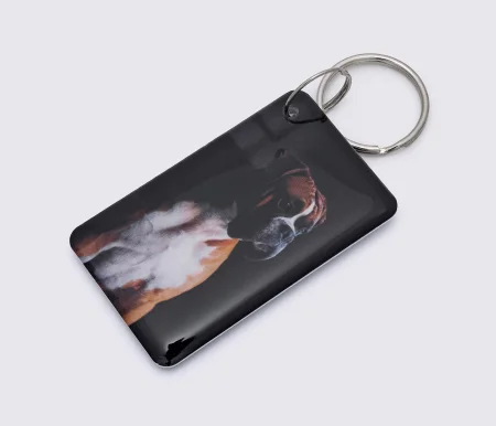 Заготовка ключа для домофона RFID 5577, "Собака №3", перезаписываемая