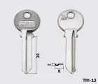 TL16R Silca заготовка ключа англійський профіль
