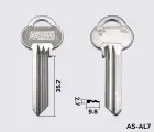 ASS14 Silca заготовка ключа англійський профіль