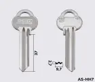 ASS52R заготовка ключа англійський профіль