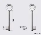 6GPZ1 Silca заготовка ключа бородкова