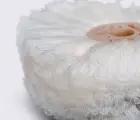 Щітка полірувальна вовняна IEXI White Wool 75x300 на СОМ